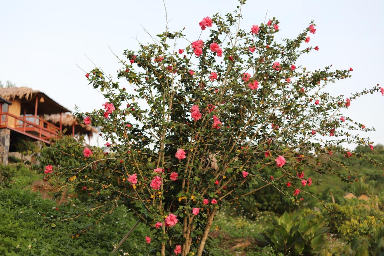 Apartmán Moc Chau Peachy Garden Exteriér fotografie