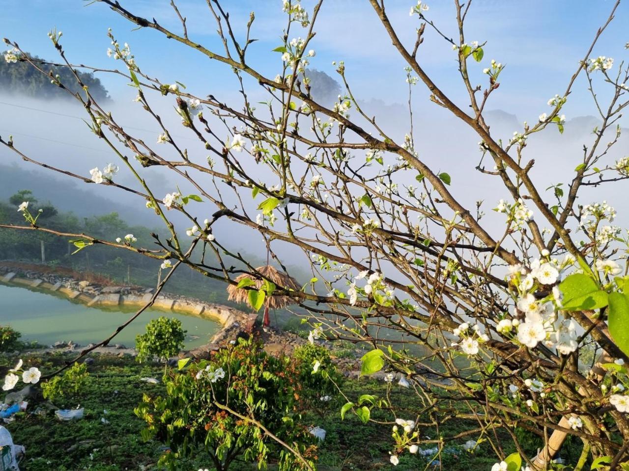 Apartmán Moc Chau Peachy Garden Exteriér fotografie